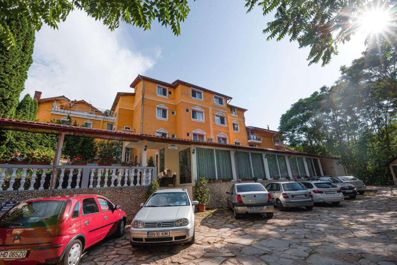 Aida Hotel Spa & Tratament Geoagiu Băi 외부 사진